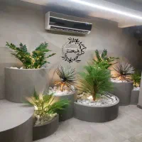 مشاوره و اجرا درختچه و بوته برگ های مشابه طبیعی