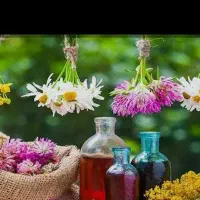 محصولات گیاهی  و دارویی