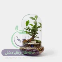 تراریوم بنسای - گیفت شرکتی - فاکتور رسمی