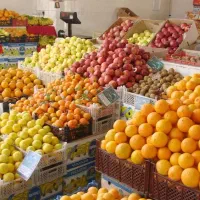 کارگر میوه فروش حرفه ای میوه چین سینی کار بساطی