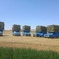 فروش یونجه