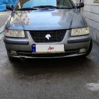 سمند نوک مدادی