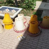 دانخوری و ابخوری مرغ و خروس و جوجه