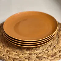 پلوخوری