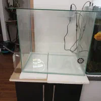 آکواریوم و پایه|ماهی|قزوین, |دیوار