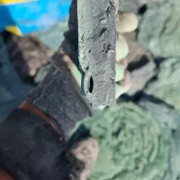 قلمبه اکسیدور درجه1 جامبو