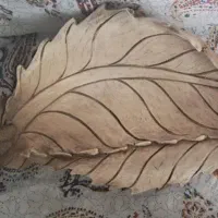 جا میو ه ای بسیار زیبا و فانتزی