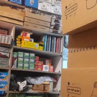 واگذاری الکتریکی