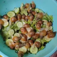 حلزون بچه و خاویار حلزون