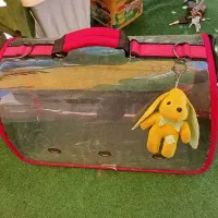 کیف حمل پت