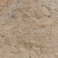 کاه جو|لوازم جانبی حیوانات|زند, |دیوار