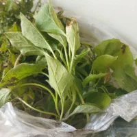 نشا بادنجان و گوجه و فلفل