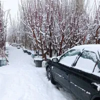 همکار آقا یا خانم