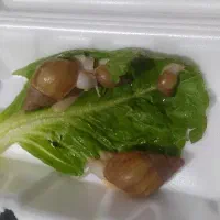 حلزون طبی اچاتینا