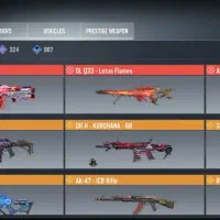 اکانت ناموس