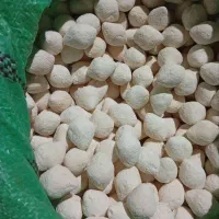 قوروت دوسر پیچ