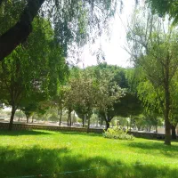نگهبان