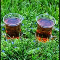 چای چوب املش