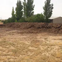 کود گاوی کهنه
