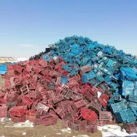 خرید سبد ضایعات کارتن موزی