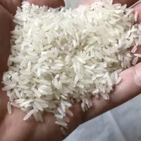 برنج ایرانی به شرط پخت