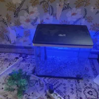 اکواریوم بسیار شیک