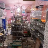 پرنده سرای شا.ها.ن