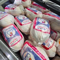 غذا سگ حیوان مرغ تازه سینه مرغ جوجه کباب ران مرغ