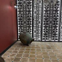 استخدام سالندار