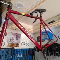 تنه و دوشاخ کورسی gitane mach 500