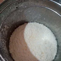 کره گاوی محلی