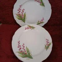 مقداری ظروف اضافه ی منزل