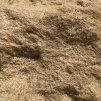 کاه گندم