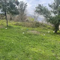 666-متر-زمین-مسکونی-شاندرمن