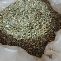گل بابونه