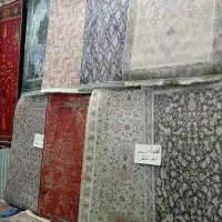 فرش نخر ، فرشینه بخر ، ارزون تره