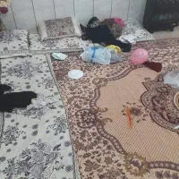 استخدام نیرو خدماتی