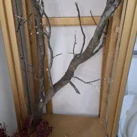 چوب پرنده