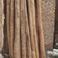 خرید و فروش چوب خشک و تر ضایعات شاهینی