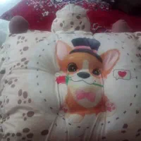 تاب ریلکس کودک