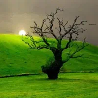 قطعه-زمین-امام-زاده