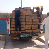 پخش و توزیع زغال حبه درجه یک