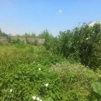 فروش یک قطعه زمین