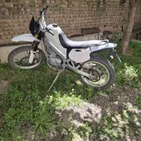 تریل آمیکو مزایده