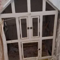 قفس بزرگ پرنده