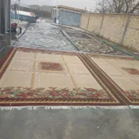 قالیشویی سپهر