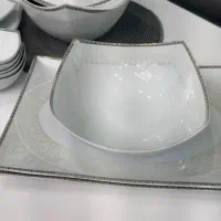 ظروف چینی