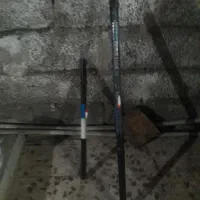 لانس کپوری  وحشی