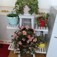 پایه گل سفید
