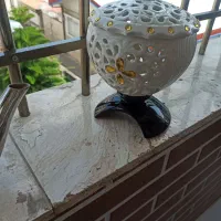 گل کاکتوس